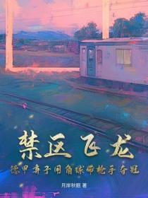 禁区飞龙：德甲弃子用角球带枪手夺冠