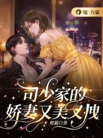 司少家的娇妻又美又拽